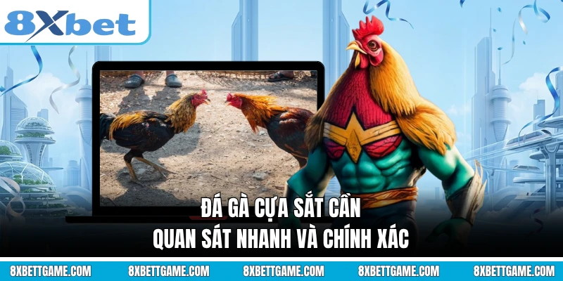 Đá gà cựa sắt cần quan sát nhanh và chính xác