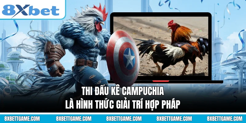 Thi đấu kê Campuchia là hình thức giải trí hợp pháp